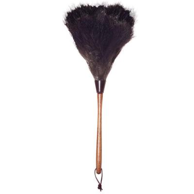 Feather Duster Ostrich 20"